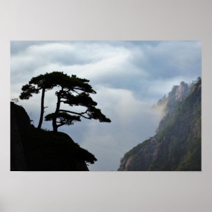 Póster Tree silhouetted at sunrise, Yellow Mountain,