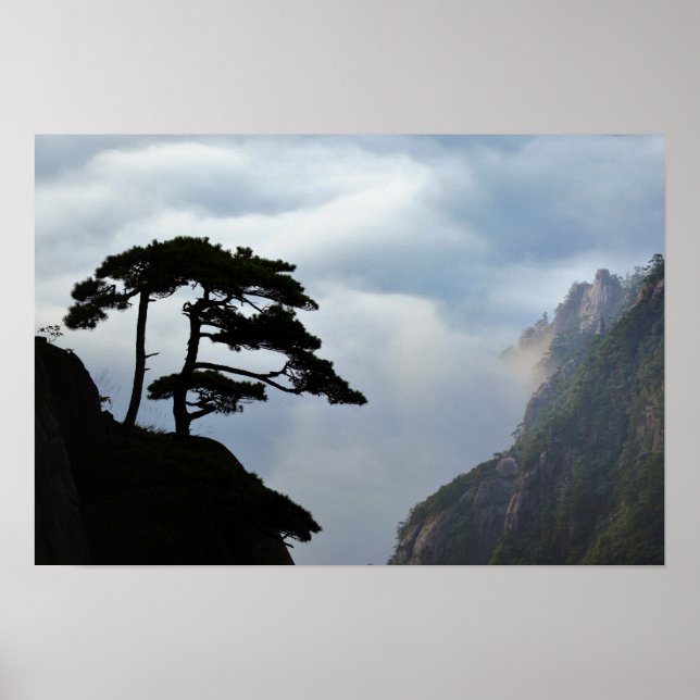 Póster Tree silhouetted at sunrise, Yellow Mountain, (Frente)