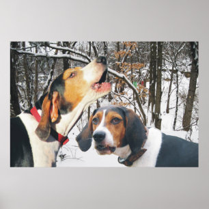 Póster Treeing Walker Coonhound Snowy Woods Poster