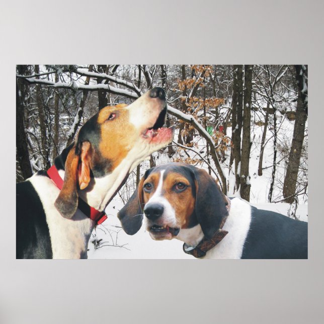 Póster Treeing Walker Coonhound Snowy Woods Poster (Frente)