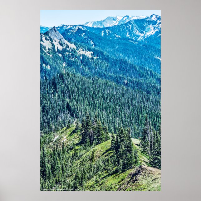 Póster Trees and  Ridges (Frente)