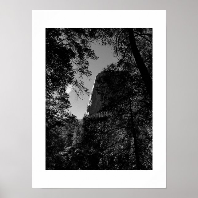 Póster Treeview Yosemite Fotografía en blanco y negro (Frente)