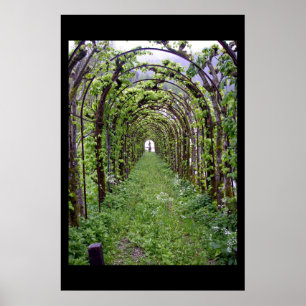 Póster Trellis Tunnel - Germany
