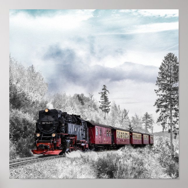 Póster Tren (Frente)