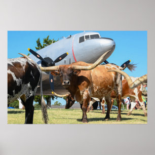 Póster Tren aéreo C-47 en Texas