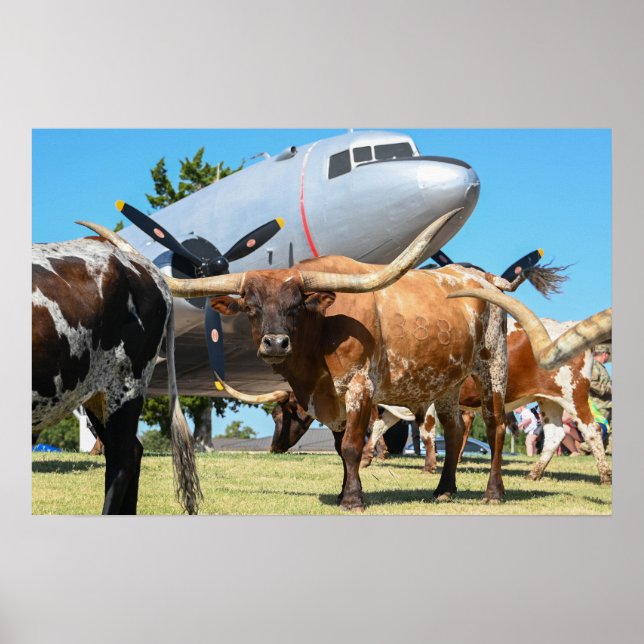 Póster Tren aéreo C-47 en Texas (Frente)