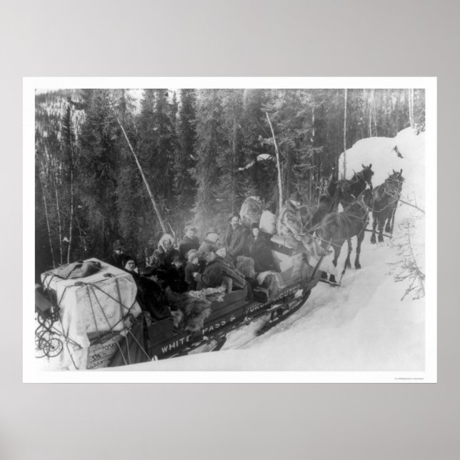 Póster Tren Alaska Sled de White Pass 1903 (Frente)
