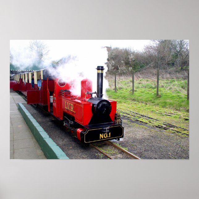 Póster Tren de vapor de Lappa Valley (Frente)