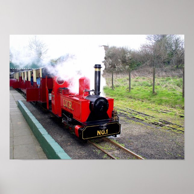 Póster Tren de vapor del valle de Lappa (Frente)