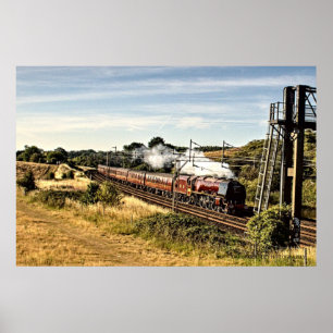 Póster Tren de vapor en el campo (4022) Poster