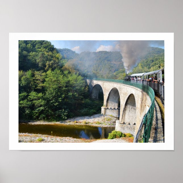 Póster Tren de vapor en puente (Frente)