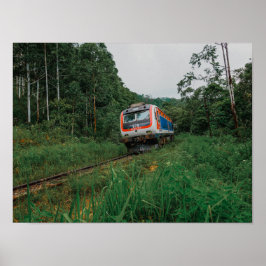 Póster Tren Desal Sri Lanka