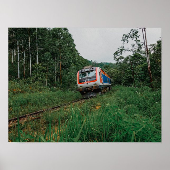 Póster Tren Desal Sri Lanka (Frente)