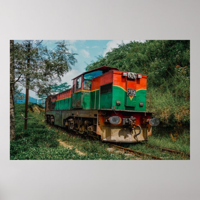 Póster Tren Desal Sri Lanka (Frente)