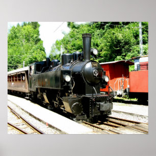Póster Tren en el museo ferroviario de Chamby