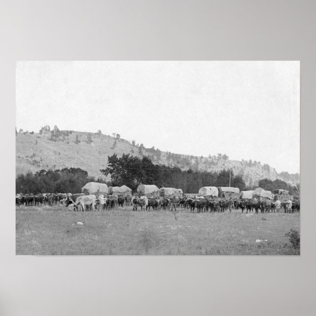 Póster Tren Ox entre Sturgis y Fotograpa de Deadwood (Frente)