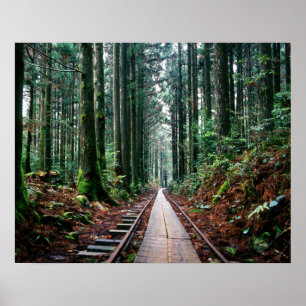 Póster Tren pistas en el bosque