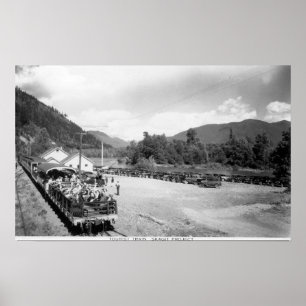 Póster Tren turístico del proyecto de Skagit