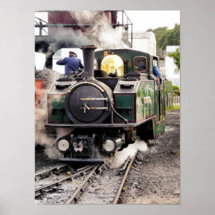 PÓSTER TRENES DE VAPOR