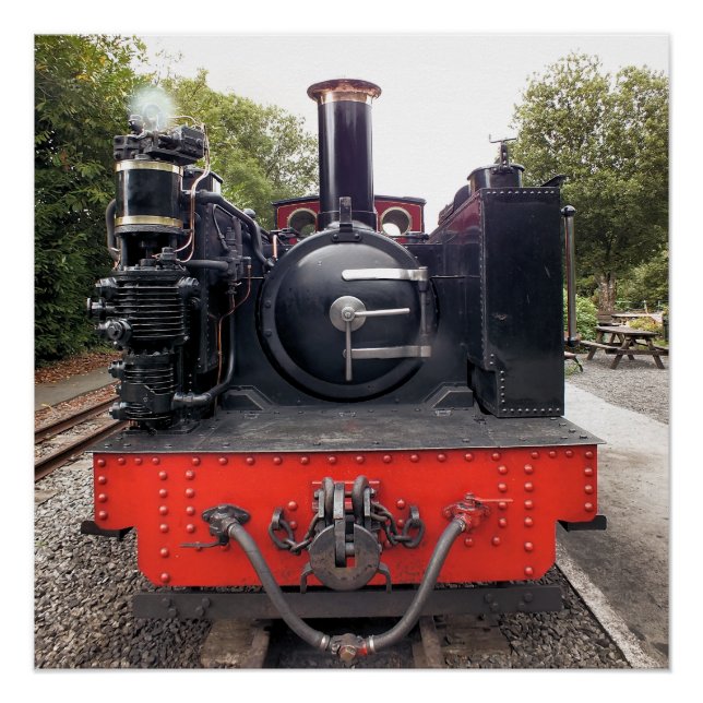 PÓSTER TRENES DE VAPOR (Anverso)