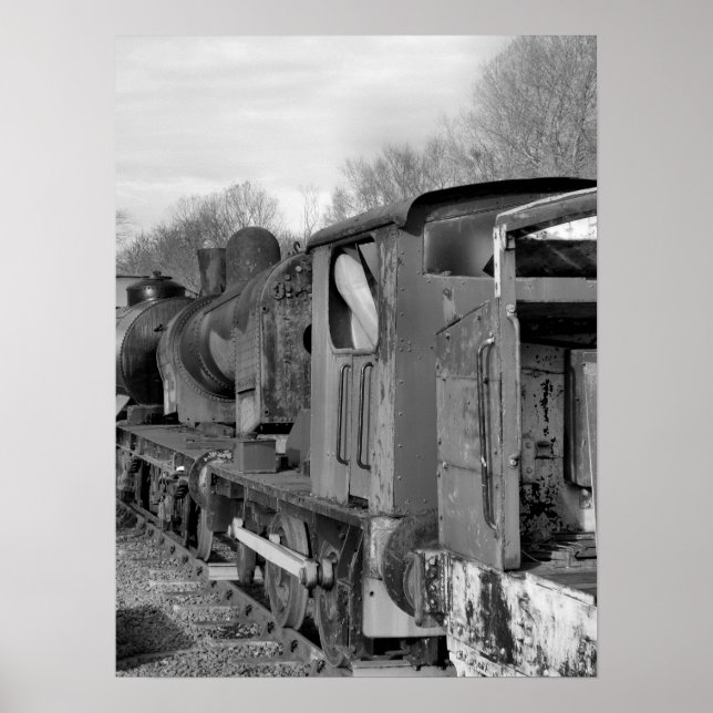 PÓSTER TRENES DE VAPOR (Frente)