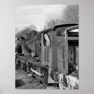 PÓSTER TRENES DE VAPOR