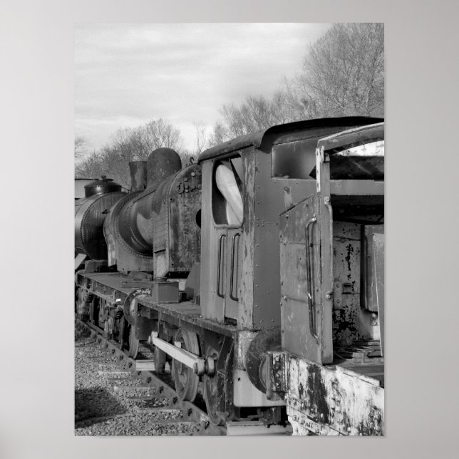PÓSTER TRENES DE VAPOR (Frente)