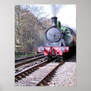 PÓSTER TRENES DE VAPOR
