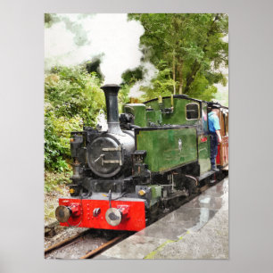 PÓSTER TRENES DE VAPOR