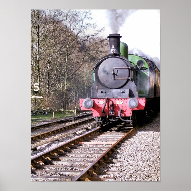 PÓSTER TRENES DE VAPOR (Frente)