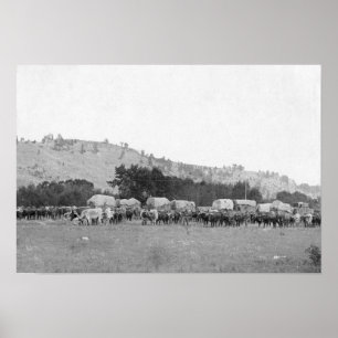 Póster Trenes del buey entre Sturgis y Deadwood Photograp