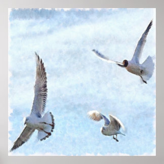 Póster Tres acuarelas de gaviotas