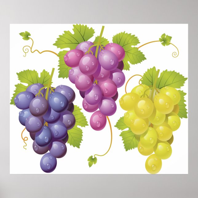 Póster Tres Bunches De Uvas (Frente)