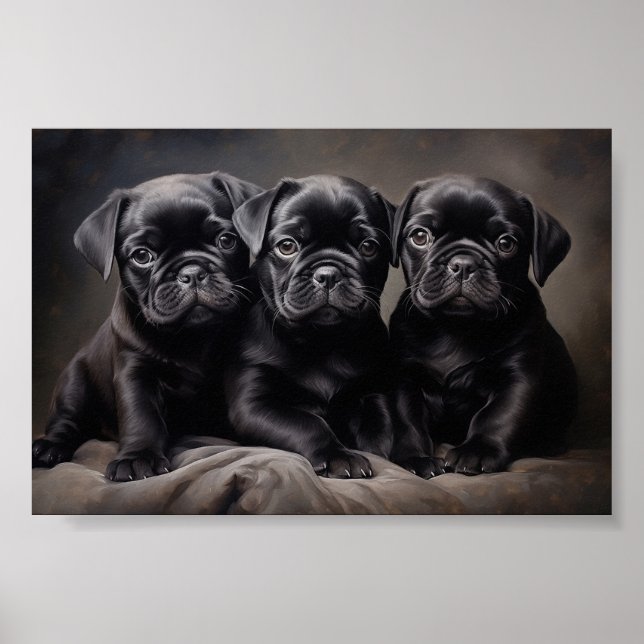 Póster Tres cachorros negros de Pug (Frente)