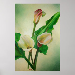 Póster Tres Calla Lilies Asombroso Acrílico Botánico