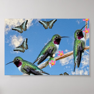 Póster Tres colibríes encaramados en un Poster de rama