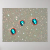 Tres Dedos En La Espuma