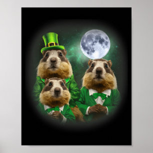 Póster Tres Día de la Marmota Luna 3 Día de la Marmota Ca