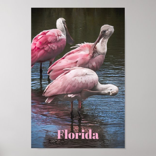 Póster "Tres Espátulas"  (Frente)