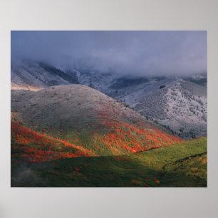 Póster Tres estaciones de follaje, arces rojos y otoño