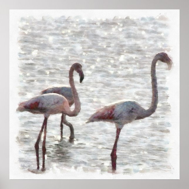 Póster Tres flamencos acuáticos (Frente)