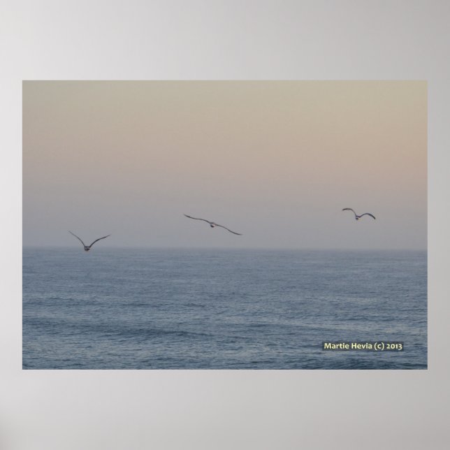 Póster Tres gaviotas (Frente)