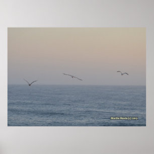 Póster Tres gaviotas
