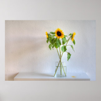 Póster Tres girasoles