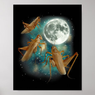 Póster Tres Grillo Luna 3 Insecto Aullando Meme Magia Mal