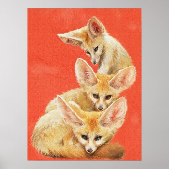 Póster Tres Kits Fennec Fox (Frente)