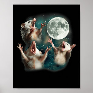 Póster Tres Luna de Possum _ 3 Ave divertida de Opossum m