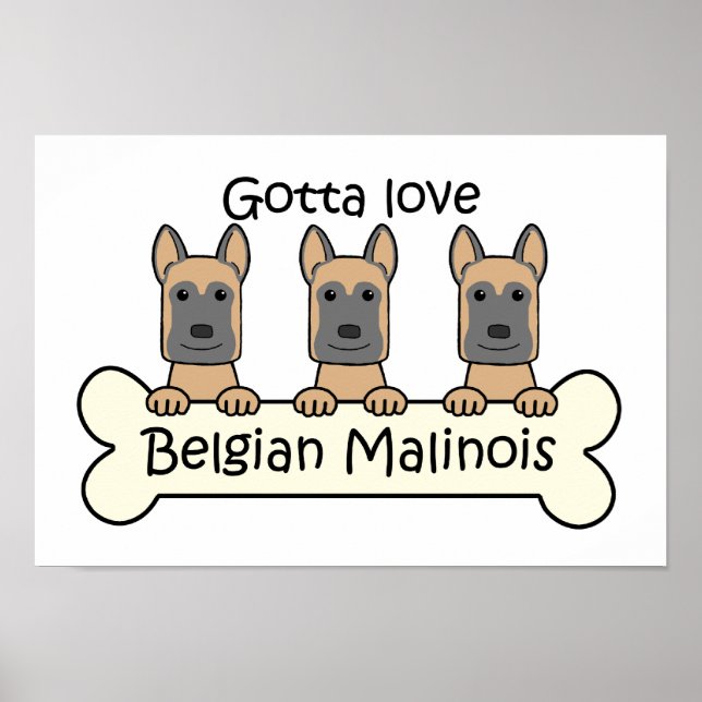 Póster Tres malinois belgas (Frente)
