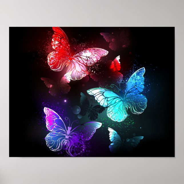 Póster Tres mariposas brillantes en el fondo nocturno (Frente)
