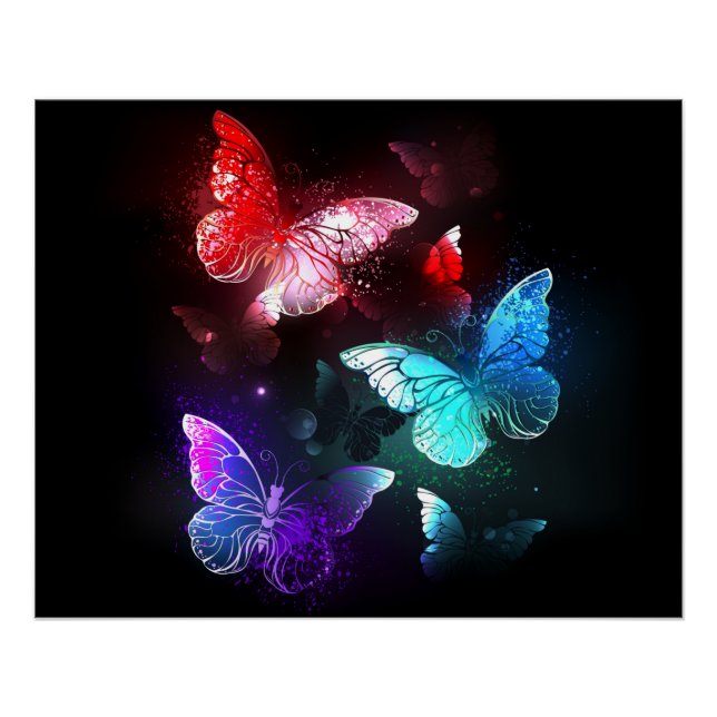 Póster Tres mariposas brillantes en el fondo nocturno (Anverso)